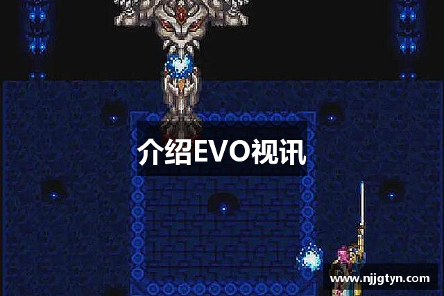 介绍EVO视讯